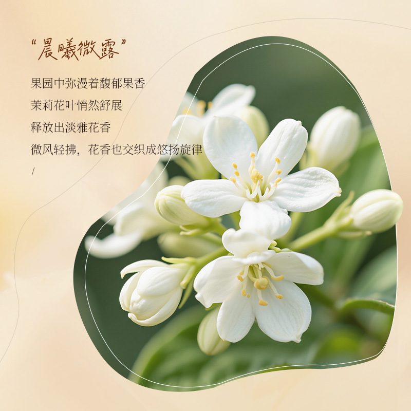 Cocoa fragrance perfume amino  - Perfume Fragrance Shampoo 리뷰 및 가격