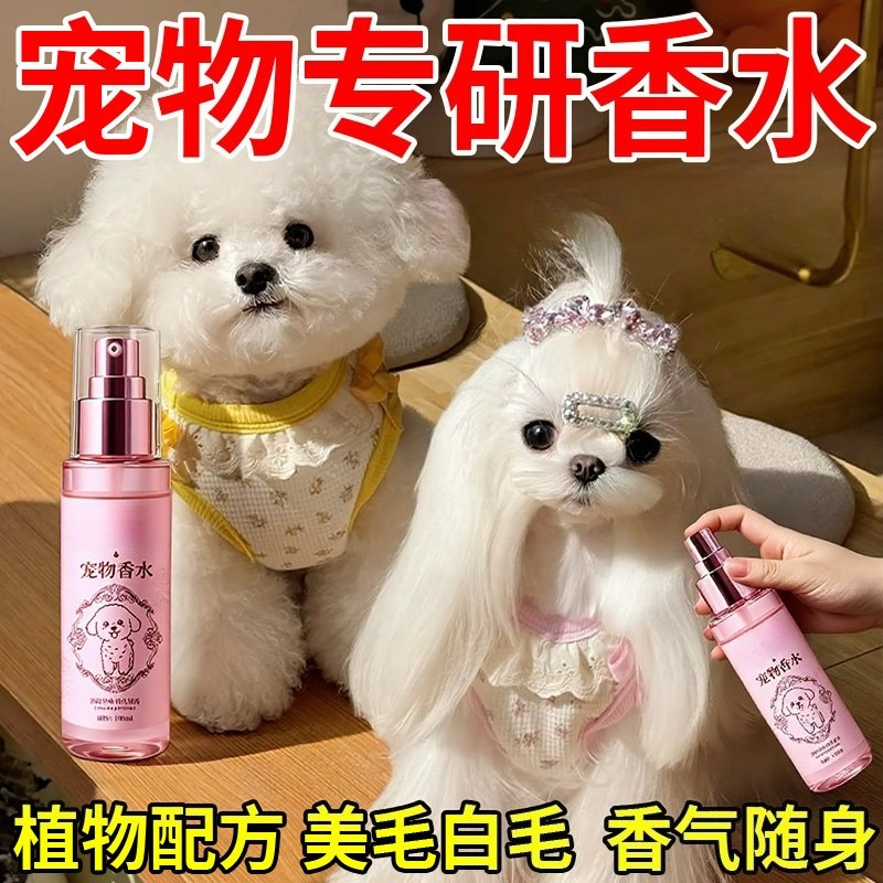 Perfume for Pets and Dogs Last - Perfume Fragrance Time 리뷰 및 가격