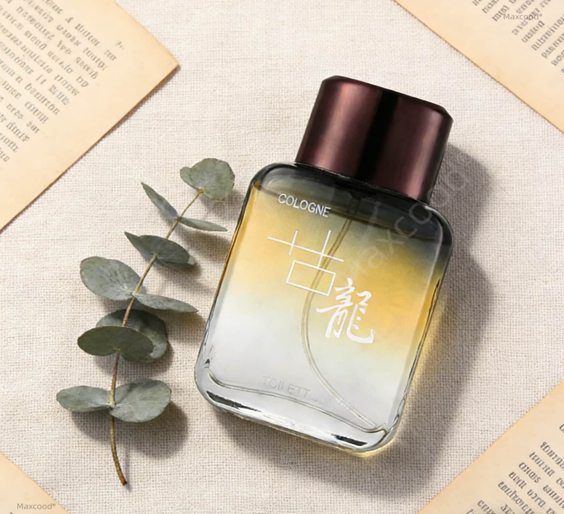 Maxcood A Citrus Men Cologne P - Perfume The Fragrance 리뷰 및 가격