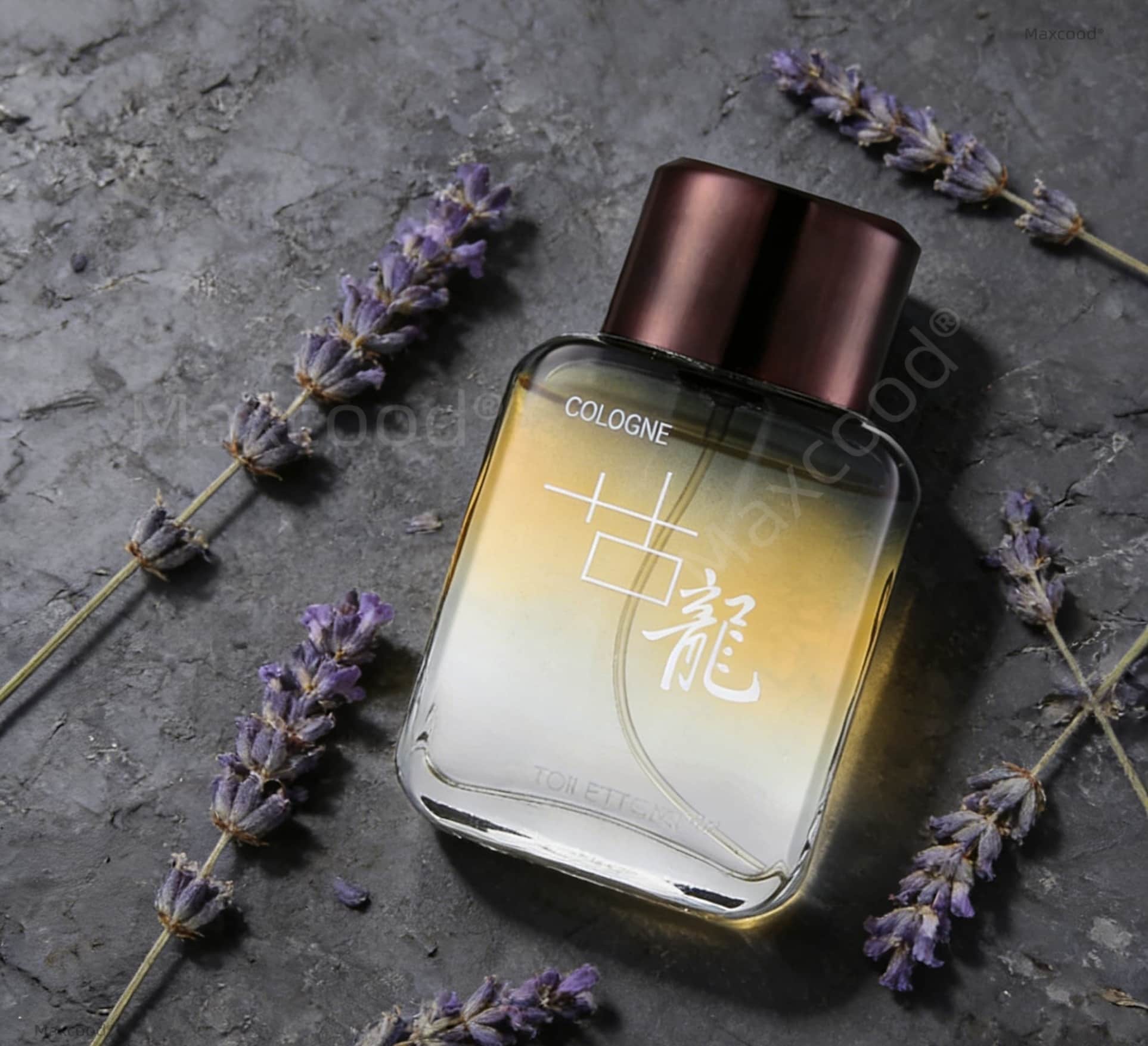 Maxcood A Citrus Men Cologne P - Perfume The Fragrance 리뷰 및 가격